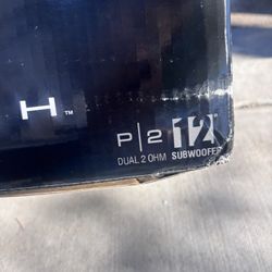 12in subwoofer