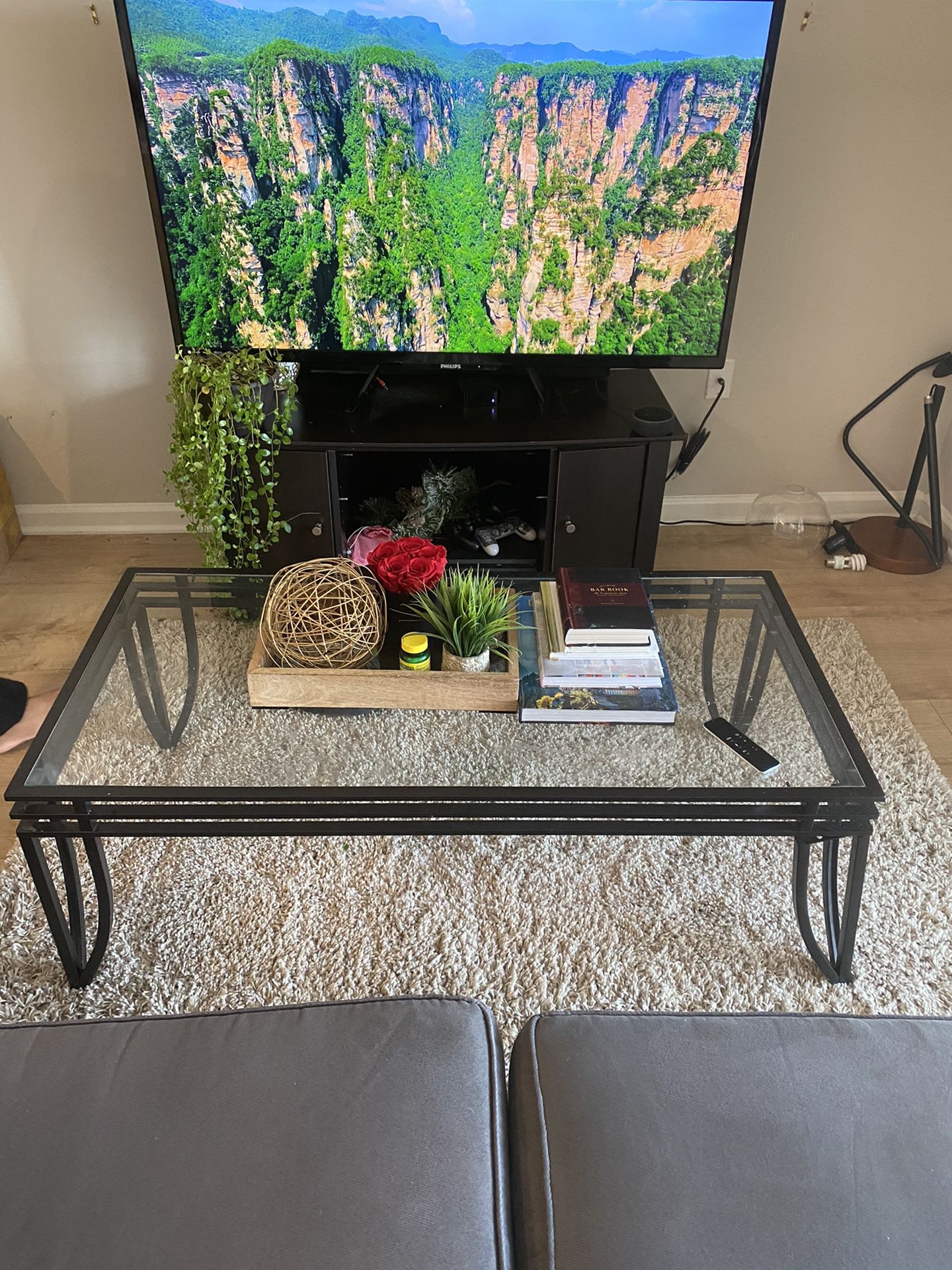 Living room - Coffee Table and TV stand