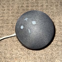 Alexa Speaker