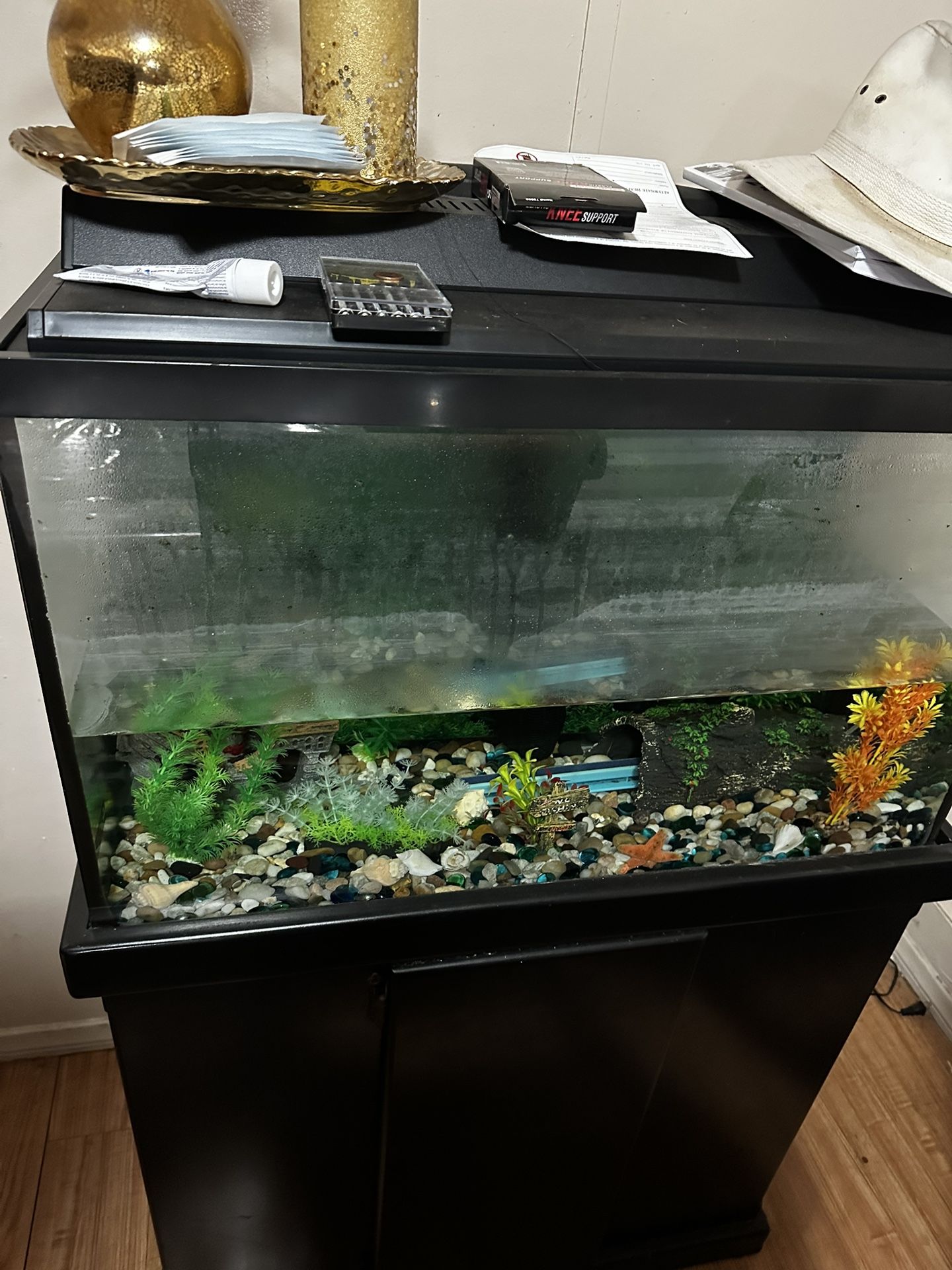 Fish Tank