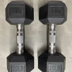 Rubber Hex 20 Pound Dumbbells 
