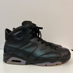 Jordan 6 All Star Chameleon Size 12