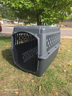 Petmate Pet Porter Traditional Travel Dog Kennel Portable Plastic Carrier, Large 40" for Dogs 70-90 lb, Gray