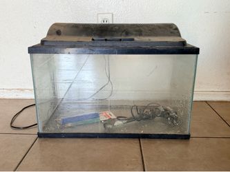 10 Gallon Glass Aquarium with Lid, Light and Heater (LxWxH): 10” x 20” x 12”)