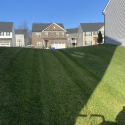 Lawn