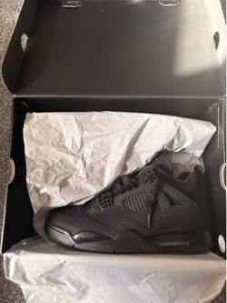 Black Cat 4s (2025) DS