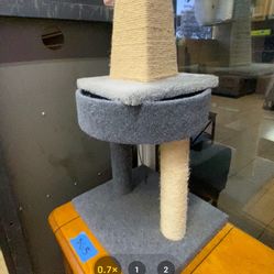 Cat Accessories 