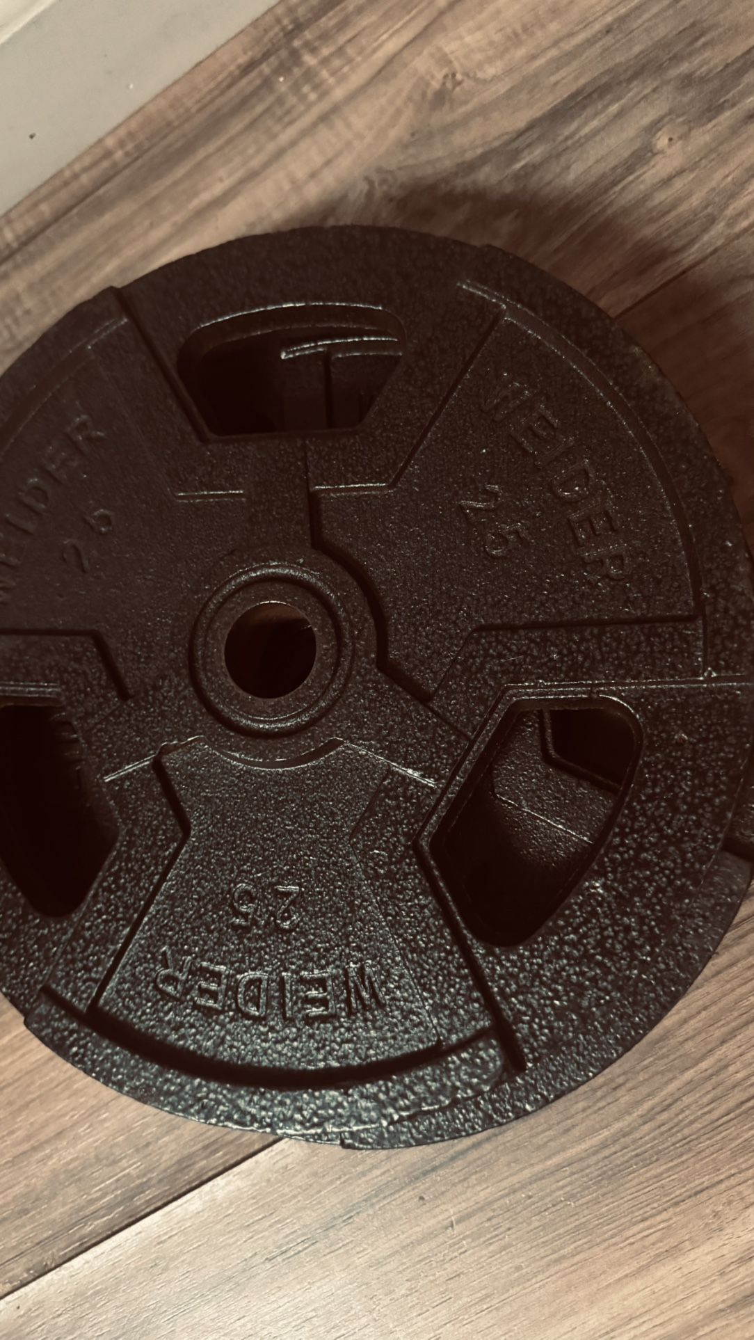 2x 25 Lbs Weight Discs