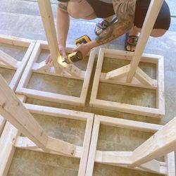 Dragon fruit plants wood trellis