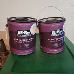 2 Full Paints Color Stone Wall