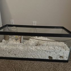 Rat Cage (Read Description) 