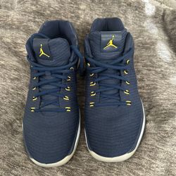Jordan 31s. Michigan Lows 