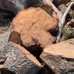 Red Oak & Eucalyptus Fire Wood 