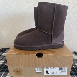 Women’s Classic Tall & Short Chocolate Uggs