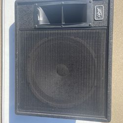 Bass AMP speaker