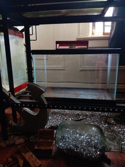 10 Gallon Tank
