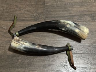 Antique Bull Horns (2)