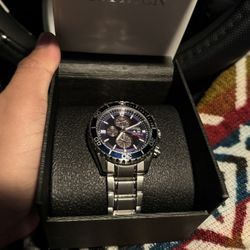 Luxury Citizen Watch (WILL TRADE)