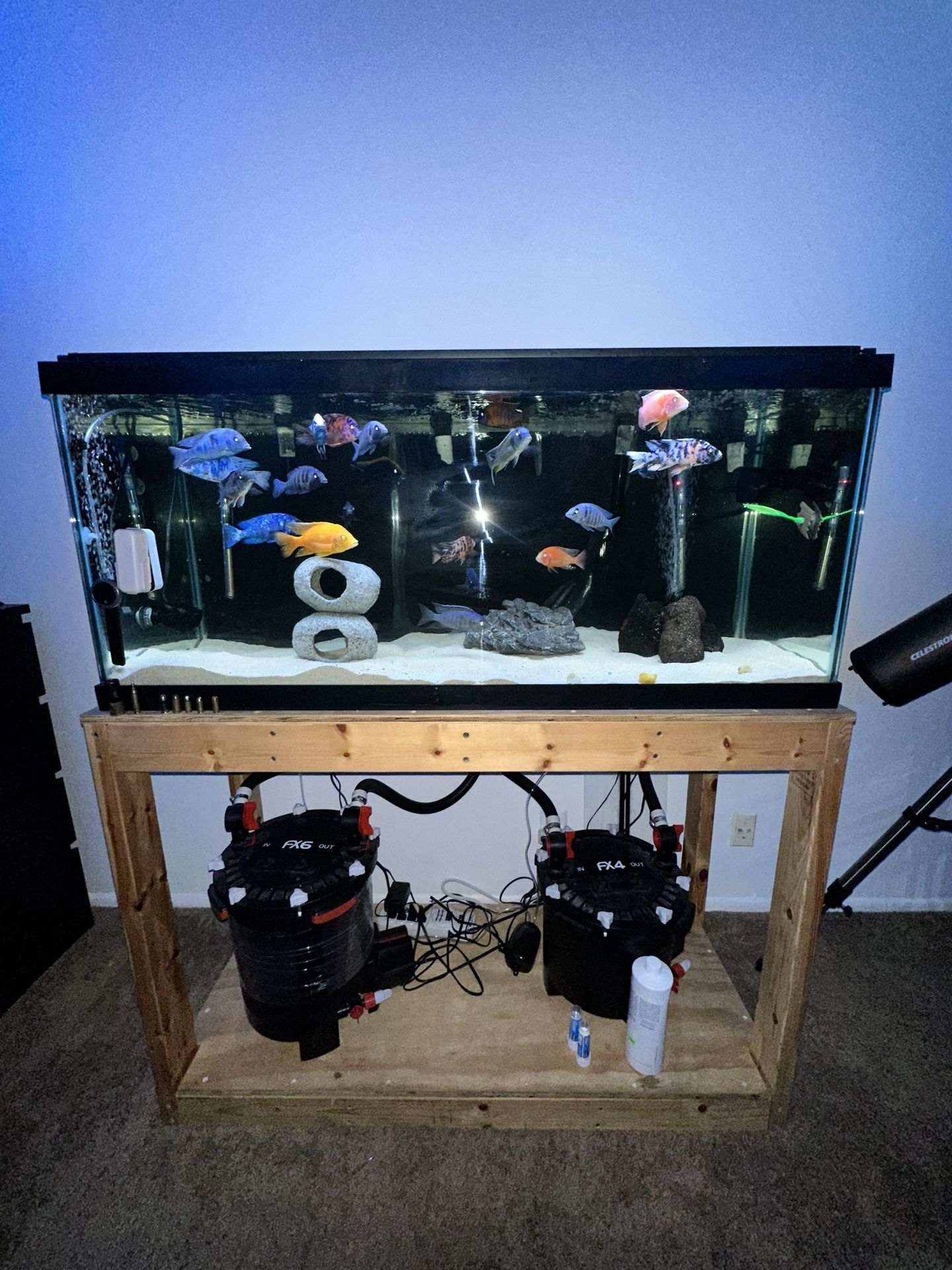 Fish tank decoration
