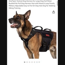 Dog harness
