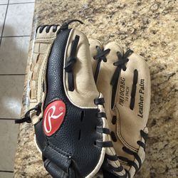 10 inch Rawlings Glove