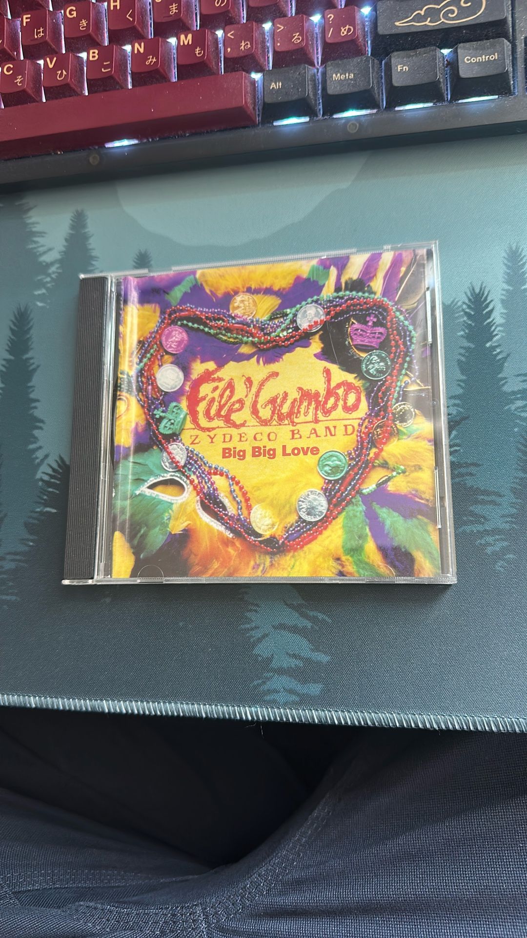 File Gumbo Zydeco Band Big Big Love CD