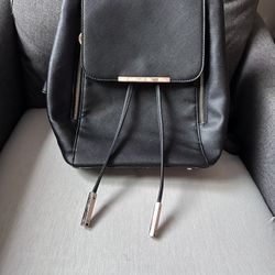 Black Backpack/purse