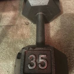 35lb Dumbbell 