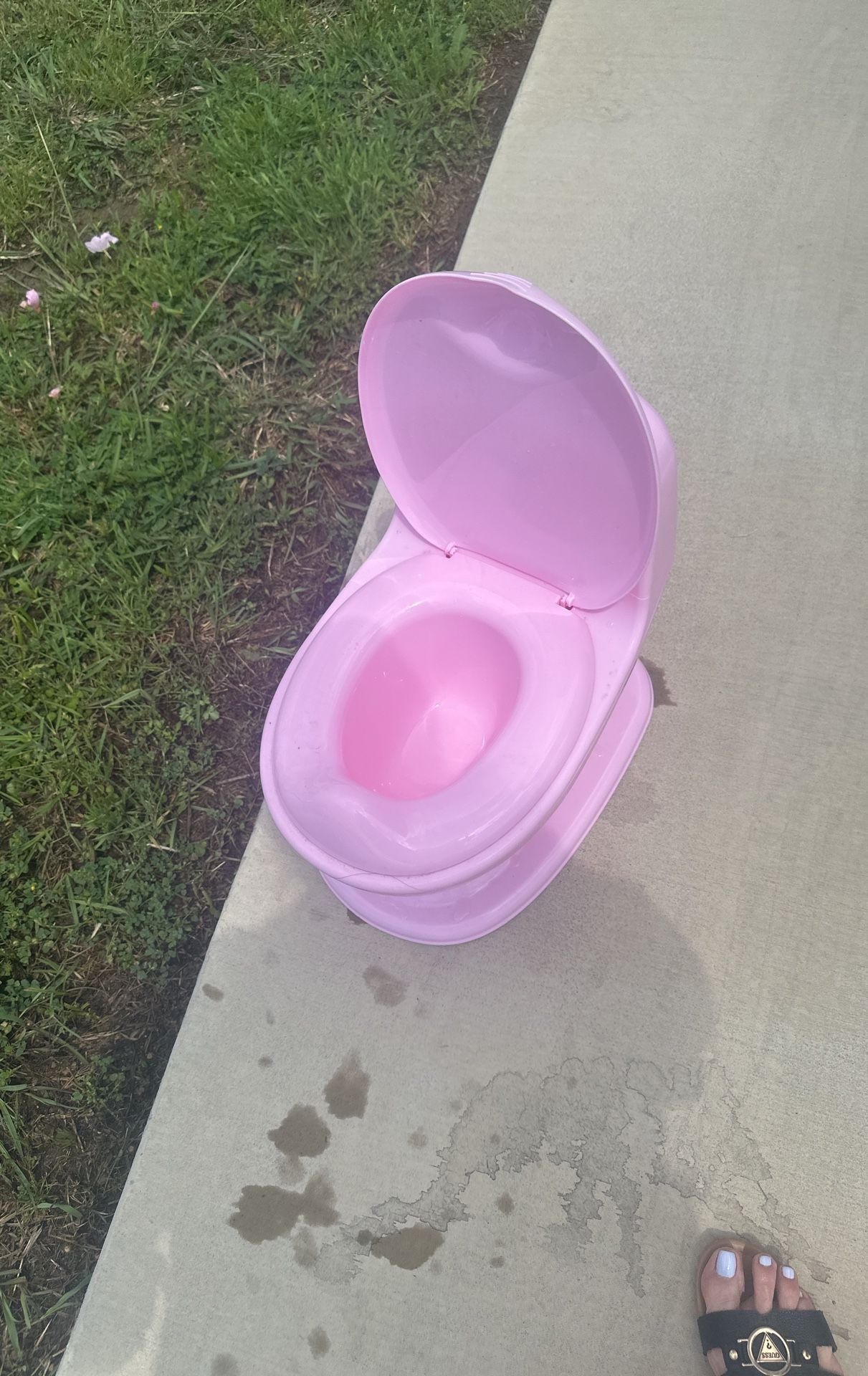 Potty For training