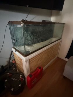 80 gallon tank stand and sump filter