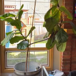 Large Galvanized Metal Planter