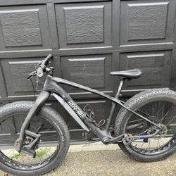 Borealis Echo Medium Fat Bike (26” Wheels, Matte Black, 2015)