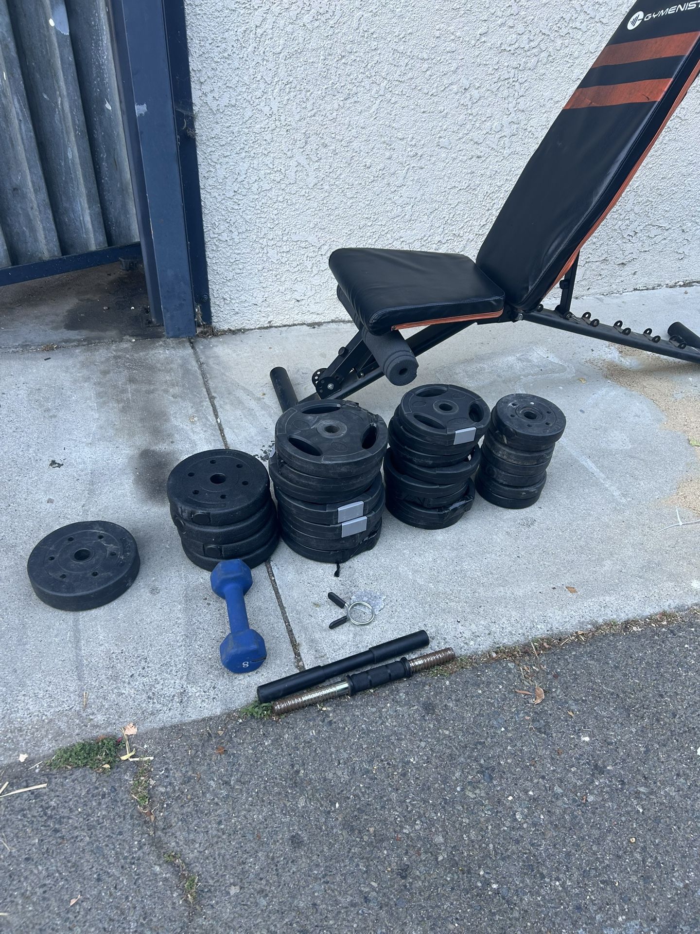 Fitness Bench And Lots Of Weights