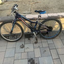 Liv Enchant Women Mountain Bike. 24 Inch 