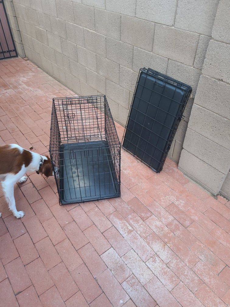 Dog Kennels / Crates (Only One Left)