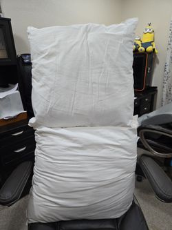 Euro pillows