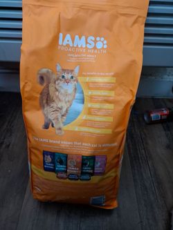 Iams cat food