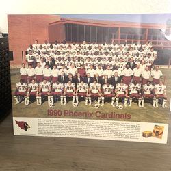 1990 ARIZONA CARDINALS TEAM PICTURE 