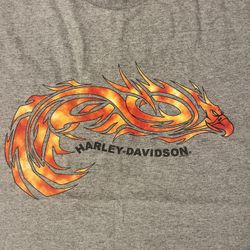 Harley-Davidson Troy New York Eagle Dragon Gray T-Shirt Flames Size XL Vtg 2004