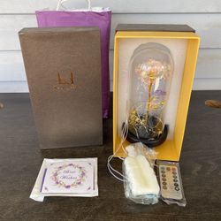 Beauty Life rose in glass jar (led/with remote).