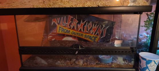 Reptile tank