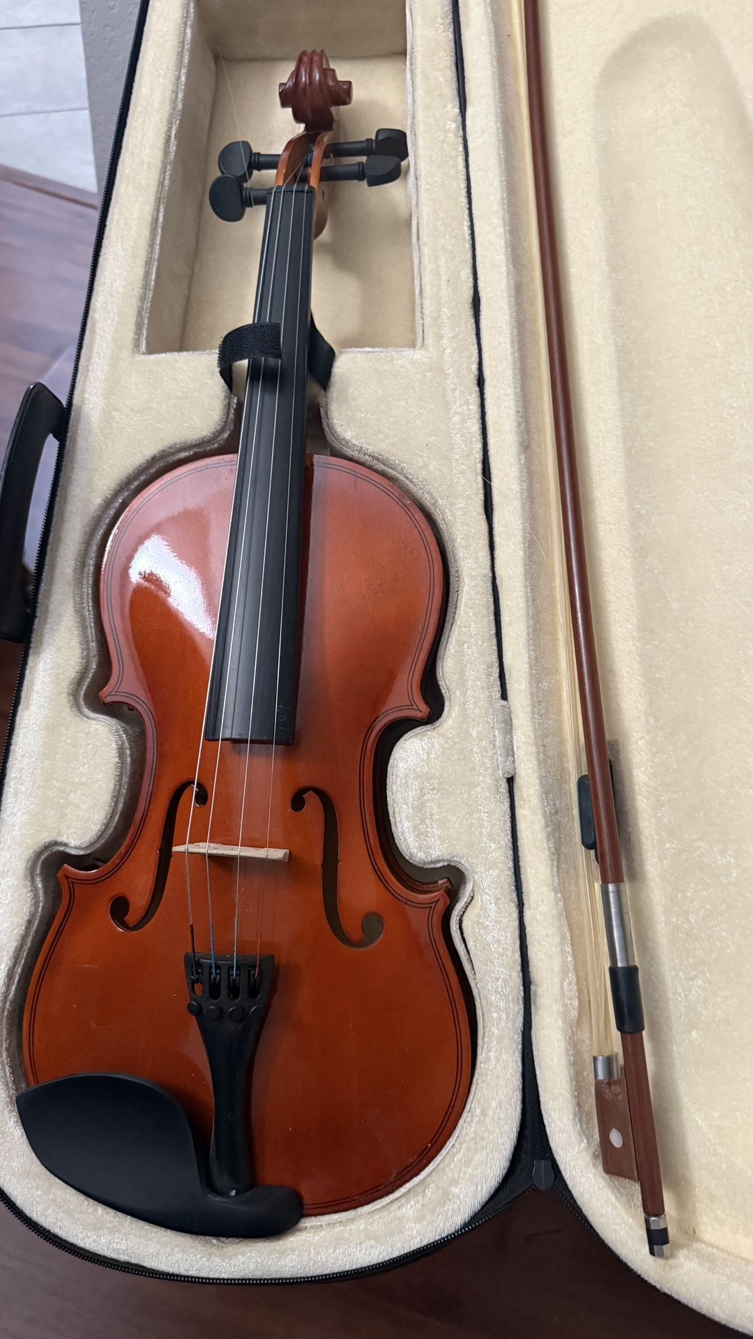 Violins $50 Each 