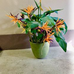  Bird Of Paradise Silk Plant 3 Feet Tall Large
