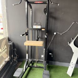 Life Fitness Assisted pull-up/dip