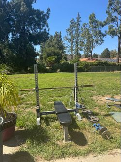 Olympic Bench Press Setup