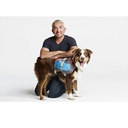 New Cesar Millan Small Dog Backpack Harness 