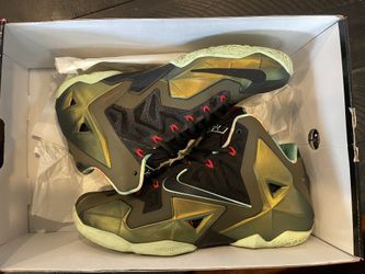 Nike Lebron 11 XI King’s Pride 9.5