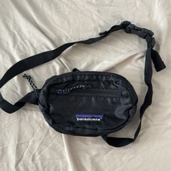 Patagonia Travel Mini Waist Bag/ Hip Bag/ Belt Bag/ Fanny Pack