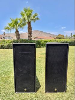 Yamaha Passive Dual Speakers