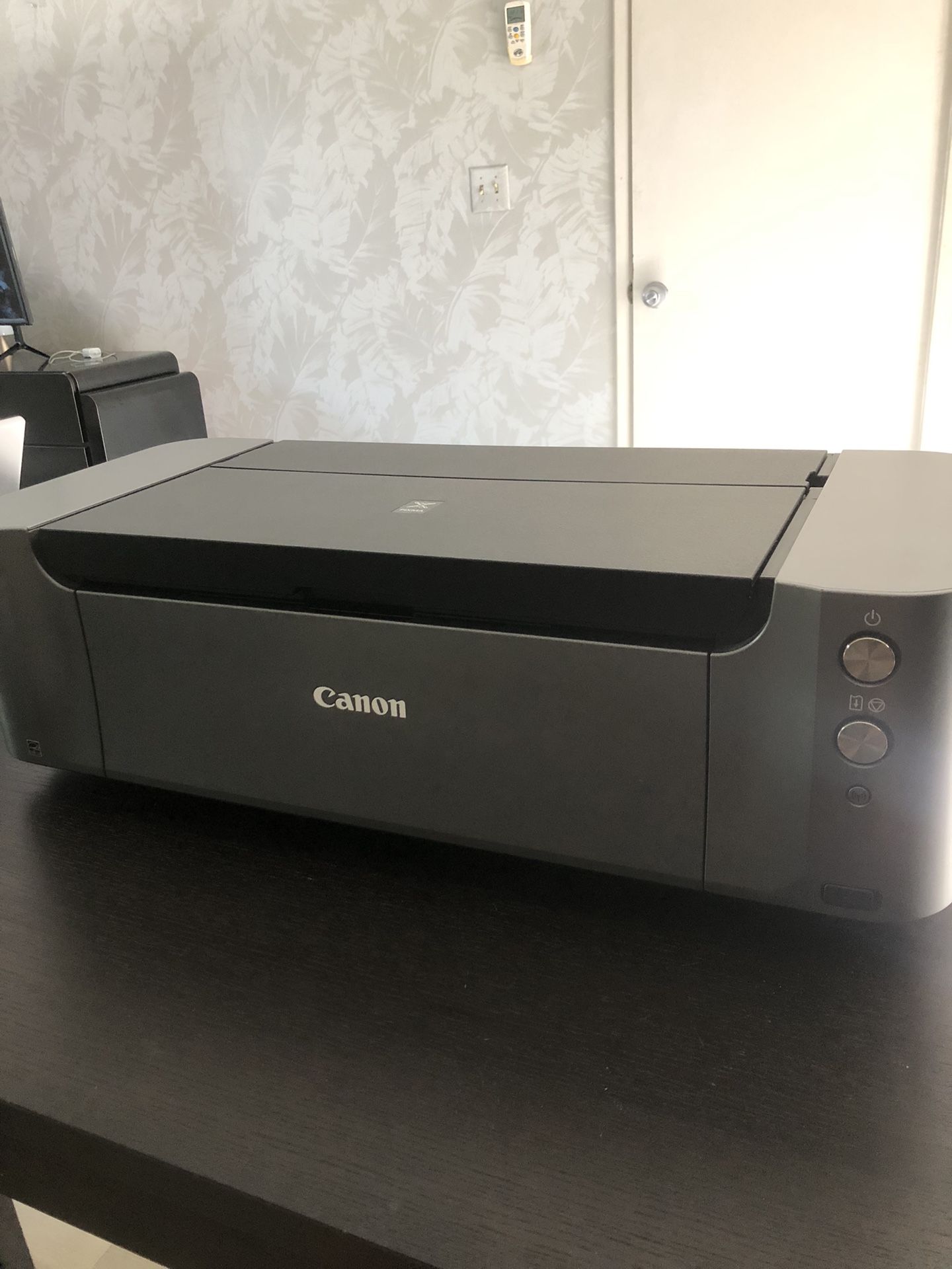 Canon PIXMA Pro-100 Wireless Photo Printer w/ Ink